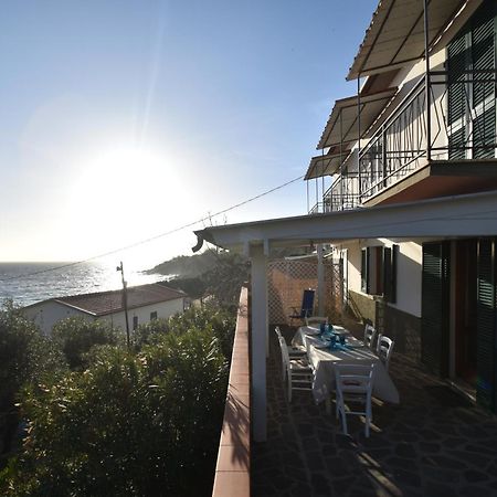 Appartamenti Cavoli - Vista Mare Con Terrazze, Clima E Posti Auto Spiaggia di Cavoli Exteriér fotografie